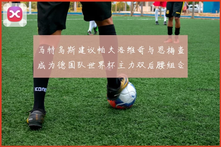 马特乌斯建议帕夫洛维奇与恩梅查成为德国队世界杯主力双后腰组合